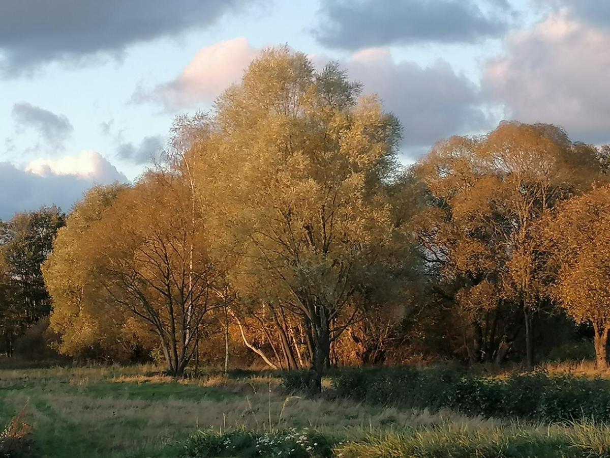 Palac Paprotno Karnice Bagian luar foto